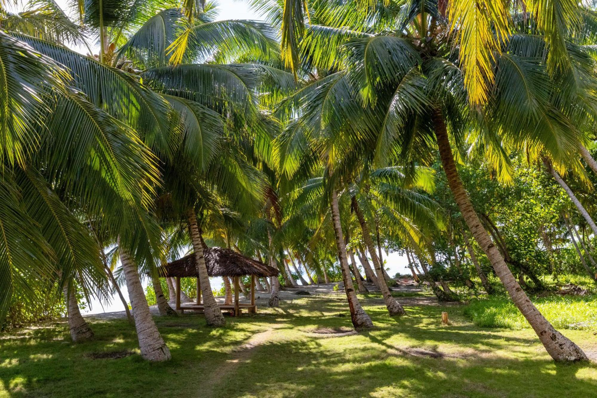 Aloita Resort Mentawai Tua Pejat Extérieur photo